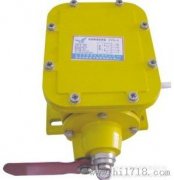 THZL-B-II縱向撕裂開關(guān)，撕裂檢測(cè)裝置，批發(fā)工程案例